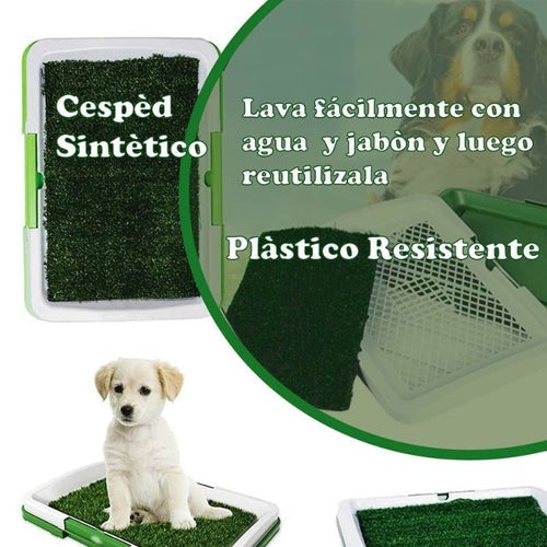 Arenero ecológico para perros