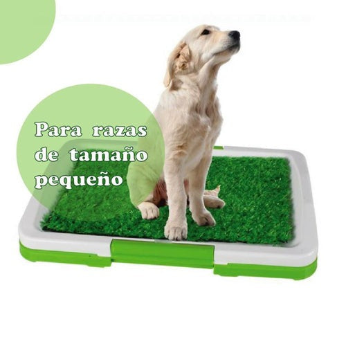 Arenero ecológico para perros